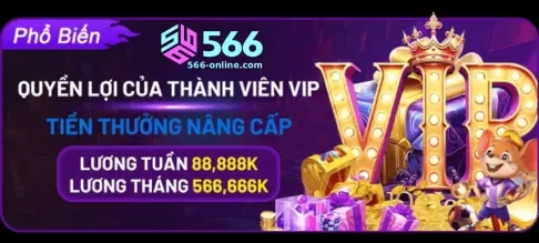 KHUYẾN MÃI 566